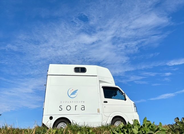 エンジェルトリミング