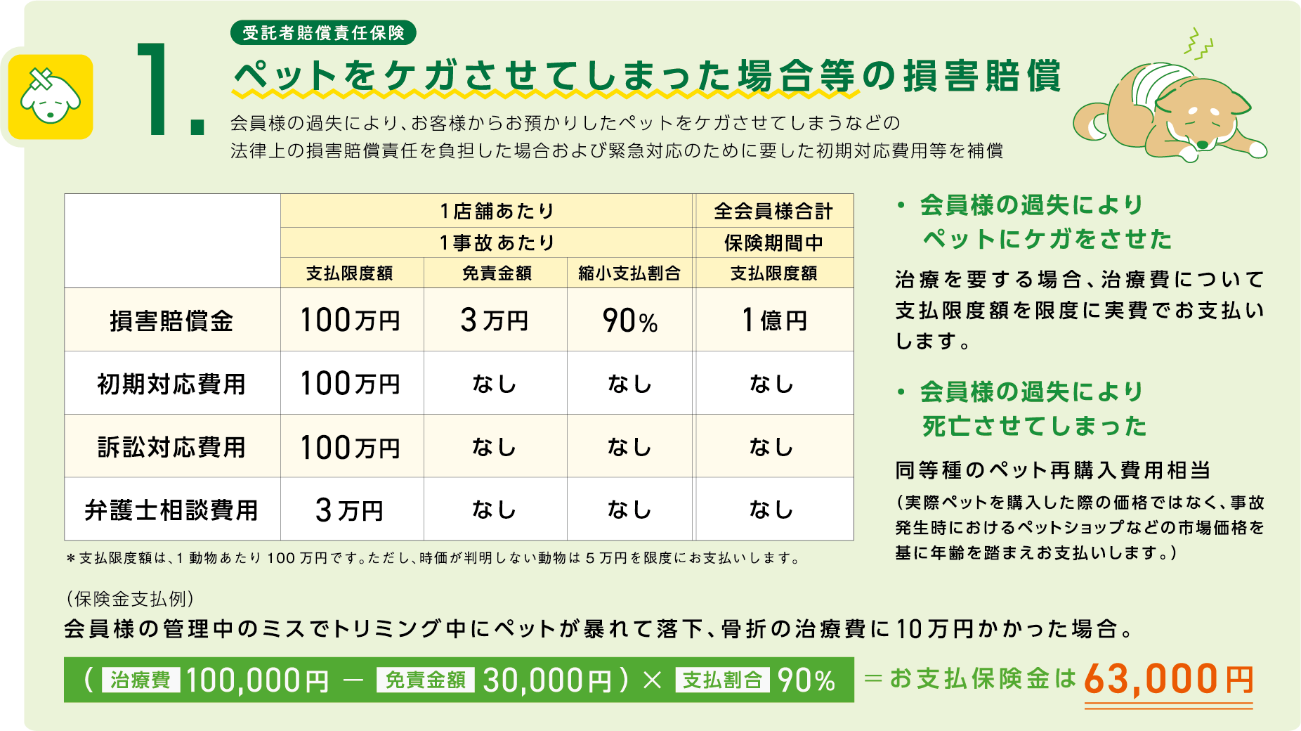 安心補償4点セット