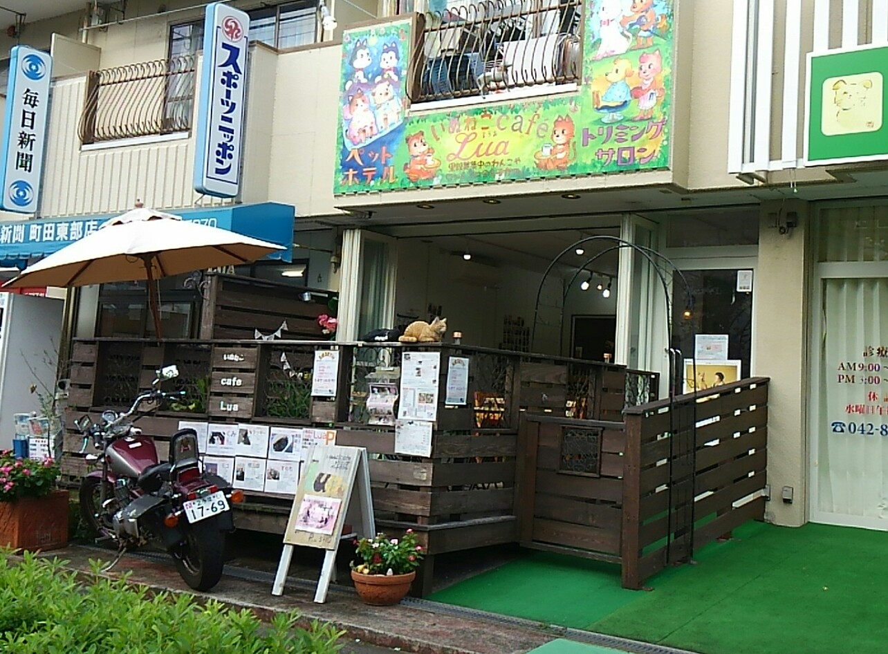 いぬねこカフェ ｌｕａ ペットサロン協会